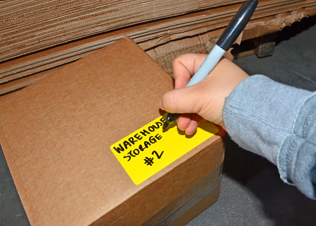 WOD grüne Namensschild-Etikettenrollen – 10,2 x 5,1 cm, 500 leere Aufkleber pro Rolle (16 Stück), rechteckig, permanent klebend für Farbcodierung, Beschriftung, Bestandsverwaltung zu Hause, Geschäft
